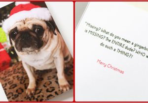 Mooning Duck Birthday Cards Christmas Cards 2014 toughpug Net