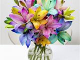 Moonpig Birthday Flowers 30 Best Images About Fabulous Florals On Pinterest Next