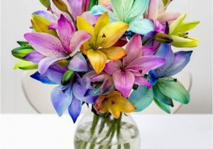 Moonpig Birthday Flowers 30 Best Images About Fabulous Florals On Pinterest Next