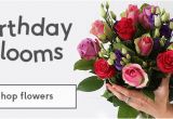 Moonpig Birthday Flowers Flowers Plants Letterbox Flowers Next Day Delivery