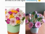 Moonpig Birthday Flowers Mother 39 S Day Disaster as Interflora Flower Service and