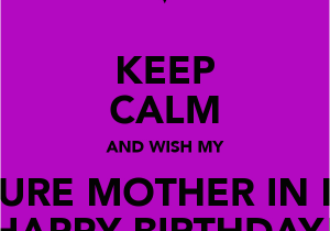 Mother In Law Birthday Meme Birthday Quotes for Future Mother In Law Image Quotes at