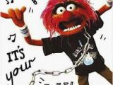 Muppets Happy Birthday Meme 25 Best Ideas About Happy Birthday Wishes On Pinterest