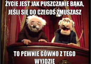 Muppets Happy Birthday Meme 48 Best Smieszne Images On Pinterest Minion Polish and