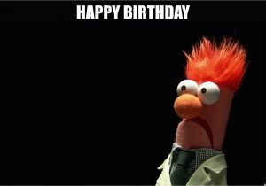 Muppets Happy Birthday Meme Happy Birthday