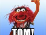 Muppets Happy Birthday Meme Happy Birthday tom Animal the Muppet Meme Generator