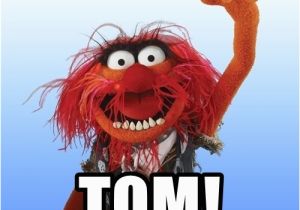 Muppets Happy Birthday Meme Happy Birthday tom Animal the Muppet Meme Generator