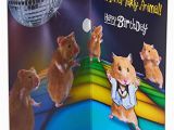 Musical Birthday Cards Amazon American Greetings Funny Hamster Birthday Card with Music