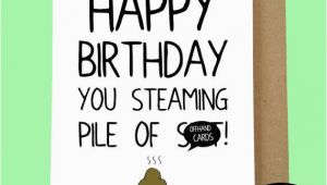 Nasty Birthday Cards Rude Insulting Birthday Card Pile Of Sht Nasty Card Adult