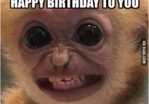 Nasty Birthday Memes Funny Happy Birthday Memes for Guys Kids Sister Husband