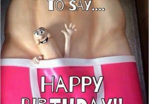 Naughty Birthday Memes 1000 Funny Happy Birthday Quotes On Pinterest Funny