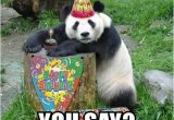 New Years Eve Birthday Meme New Year 39 S Eve You Say Happy Birthday Panda Meme