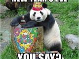 New Years Eve Birthday Meme New Year 39 S Eve You Say Happy Birthday Panda Meme