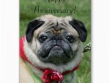 Newfie Birthday Meme Happy Anniversary Pug Greeting Card Happy Anniversary