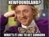 Newfie Birthday Meme Newfie ifunny