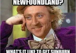 Newfie Birthday Meme Newfie ifunny