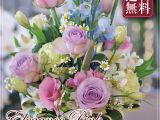 Next Birthday Flowers Hanako Elegance Pink Flower Arrangement Gift Birthday