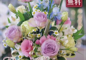 Next Birthday Flowers Hanako Elegance Pink Flower Arrangement Gift Birthday