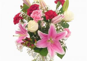 Next Birthday Flowers oriental Charm Fresh Flower Bouquet Exotic Lilies and