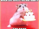 Nice Happy Birthday Memes Birthday Memes and Quotes Gingerasianrestaurant Com