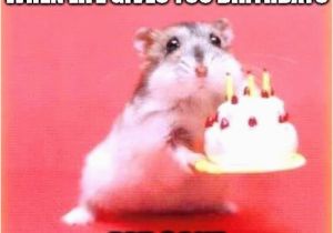 Nice Happy Birthday Memes Birthday Memes and Quotes Gingerasianrestaurant Com