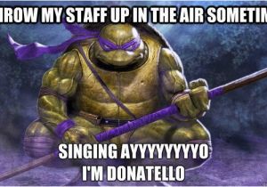 Ninja Turtle Birthday Meme 59 Best Ninja Turtles Images On Pinterest Teenage