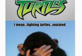 Ninja Turtle Birthday Meme Ninja Turtle Memes Image Memes at Relatably Com