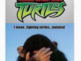 Ninja Turtle Birthday Meme Ninja Turtle Memes Image Memes at Relatably Com