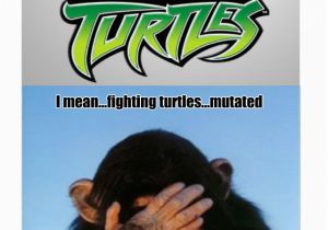 Ninja Turtle Birthday Meme Ninja Turtle Memes Image Memes at Relatably Com