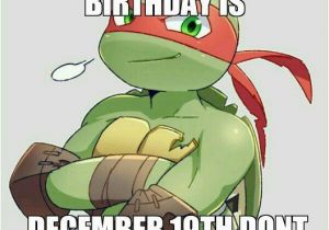 Ninja Turtle Birthday Meme Raph 39 S Birthday Tmnt Pinterest Birthdays