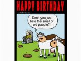 Old People Birthday Cards World Of Cow Birthday Card Old People Zazzle