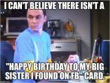 Older Sister Birthday Meme Happy Birthday Sister Meme and Funny Pictures