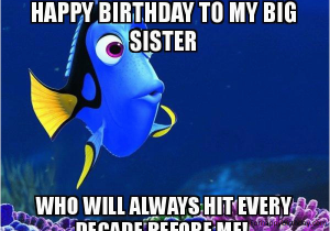 Older Sister Birthday Memes Happy Birthday Sister Meme Happy Birthday