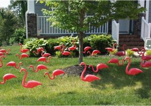 Over the Hill Birthday Party Decorations Over the Hill Decorations Ideas