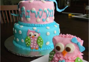 Owl 1st Birthday Decorations 17 Best Images About Kyleighs First Birthday On