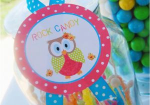 Owl 1st Birthday Decorations Kara 39 S Party Ideas Aloha Owl 1st Birthday Party Via Kara