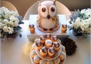 Owl 1st Birthday Decorations Noa 39 S Owl themed First Birthday Party the Sweetest Occasion