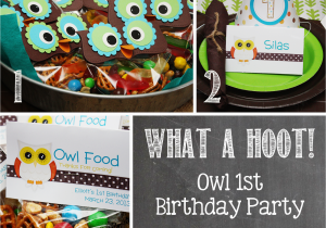 Owl 1st Birthday Decorations Owl 1st Birthday Party Mostly Homemade Mom