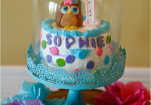 Owl 1st Birthday Party Decorations A Day with Lil Mama Stuart Colorful Owl 1st Birthday