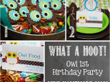 Owl 1st Birthday Party Decorations Owl 1st Birthday Party Mostly Homemade Mom