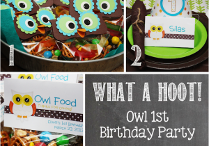 Owl 1st Birthday Party Decorations Owl 1st Birthday Party Mostly Homemade Mom