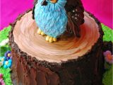Owl Birthday Cake Decorations Owl Cake Cakecentral Com