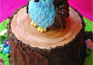 Owl Birthday Cake Decorations Owl Cake Cakecentral Com