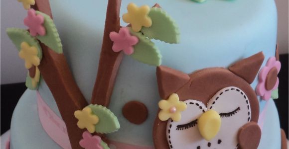 Owl Birthday Cake Decorations Owl Cakes Decoration Ideas Little Birthday Cakes