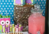 Owl Birthday Decoration Ideas Owl Party Ideas Owl Birthday Parties Owl and Decoration