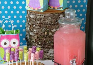 Owl Birthday Decoration Ideas Owl Party Ideas Owl Birthday Parties Owl and Decoration