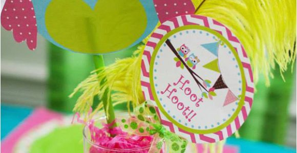 Owl Birthday Decoration Ideas Owl Party Ideas Owl Birthday Party Lillian Hope Designs