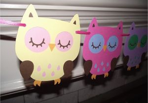 Owl Birthday Decorations Girl Baby Owl Decorations Best Baby Decoration
