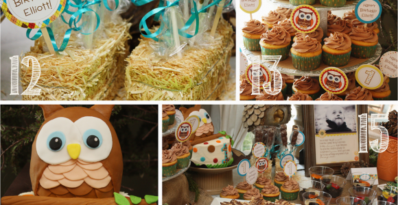 Owl Decorations for 1st Birthday Party Owl 1st Birthday Party Mostly Homemade Mom