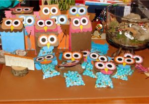 Owl Decorations for Birthday Owl Birthday Party Decoration Criolla Brithday Wedding